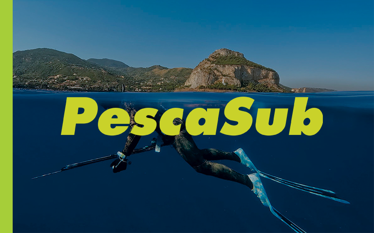 PESCASUB_HOMEPAGE
