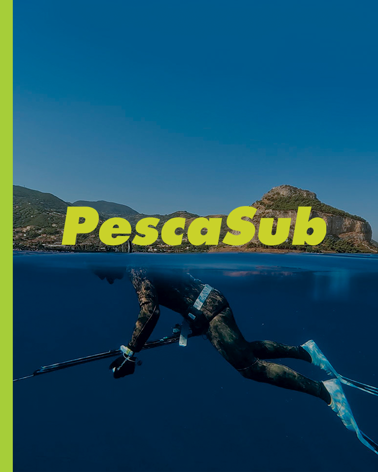 PESCASUB_HOMEPAGE_v2